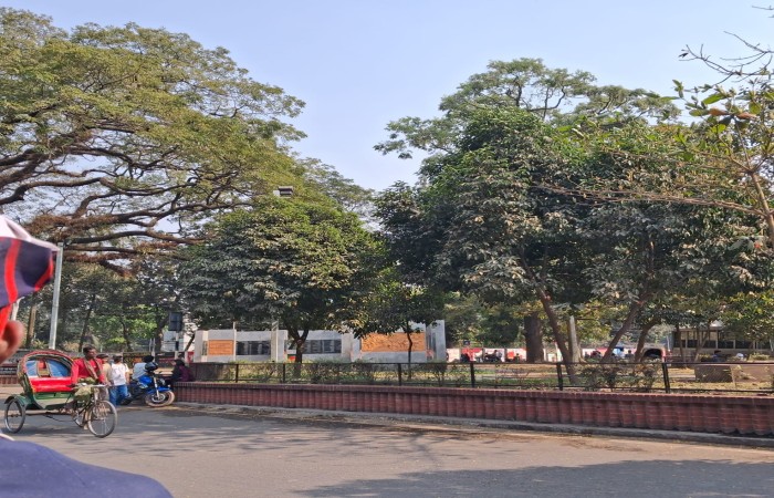 শুকনোপাতার কথামালা-৪