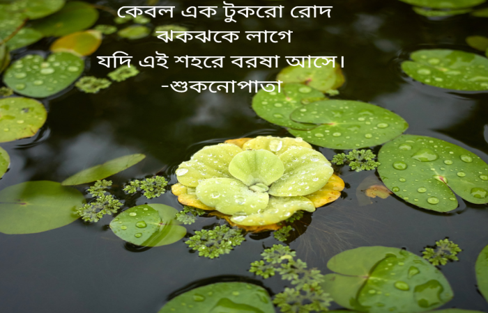 শুকনোপাতার কথামালা-৫